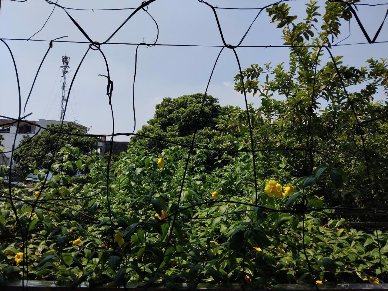 Green Space Homestay Ninh Binh Eksteriør bilde